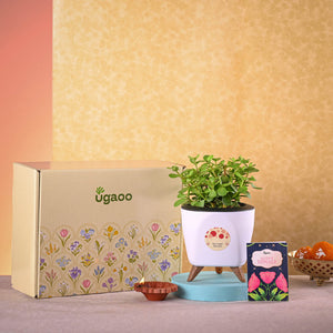 Jade Mini & Nutki Gourmet Nut Mix Diwali Gift Hamper