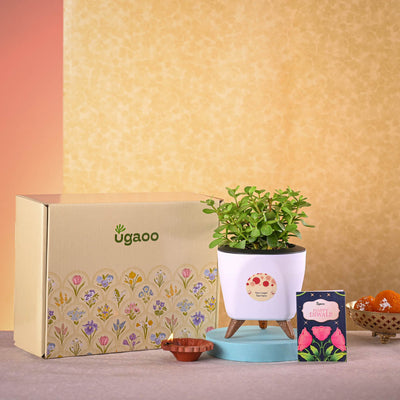 Jade Mini & Nutki Gourmet Nut Mix Diwali Gift Hamper