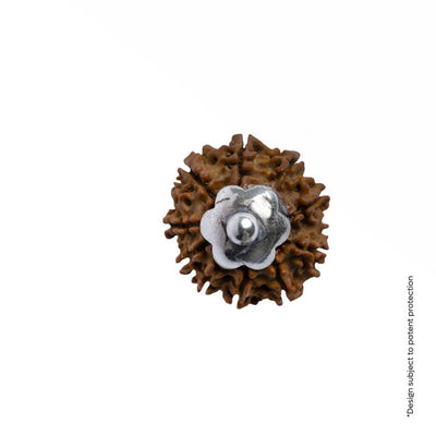 Adiyogi Pendant (10 Mukhi Nepali  Rudraksha) With Chain