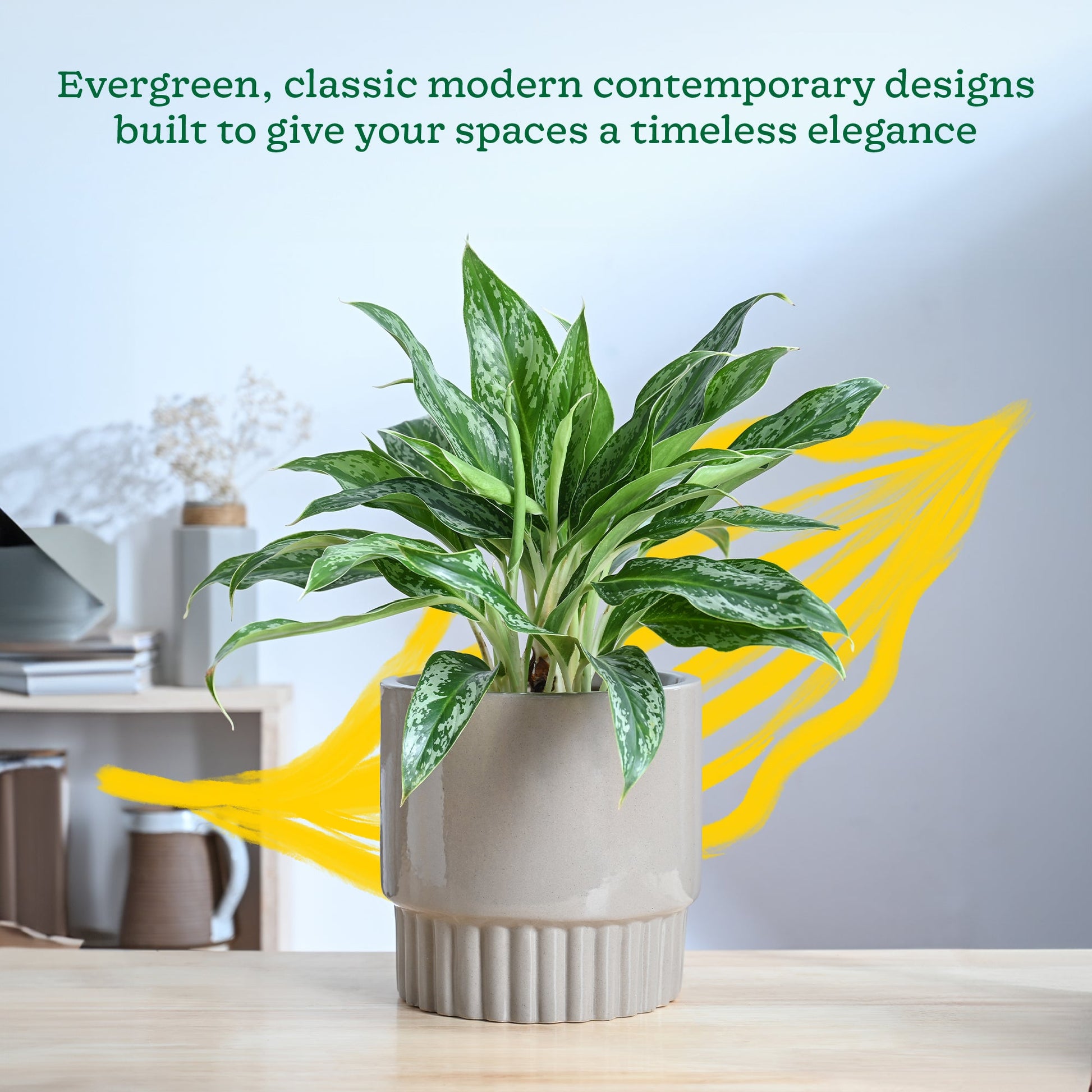 Immortal Nights Ceramic Planter