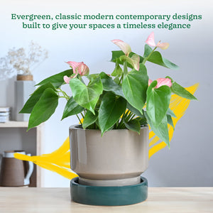 Soothing Rains Ceramic Planters