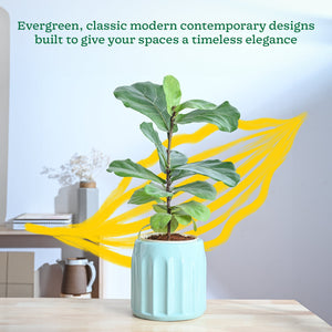 Blushing Sun Ceramic Planter