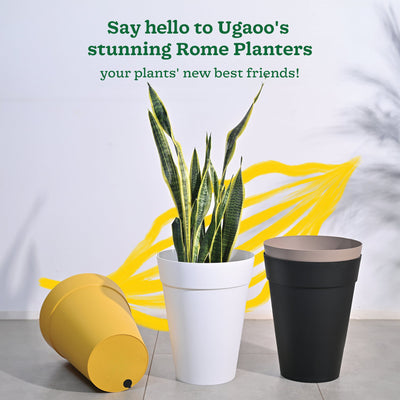 Roma Plastic Planter