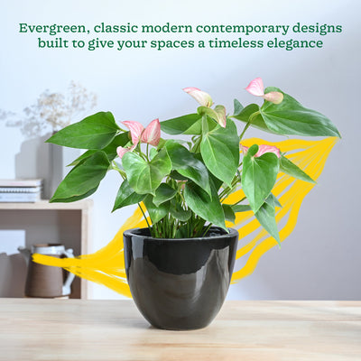 Echoing Eternity Ceramic Planter