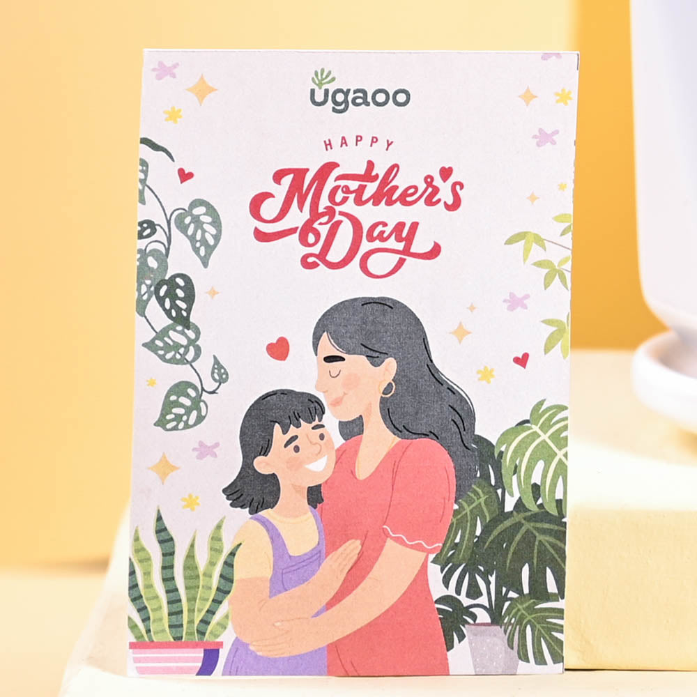 Jade Mini Plant For Mother's Day Gifting