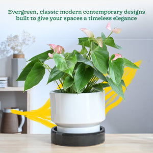 Soothing Rains Ceramic Planters