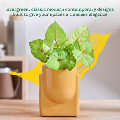 Cats are Gods Ceramic Planter