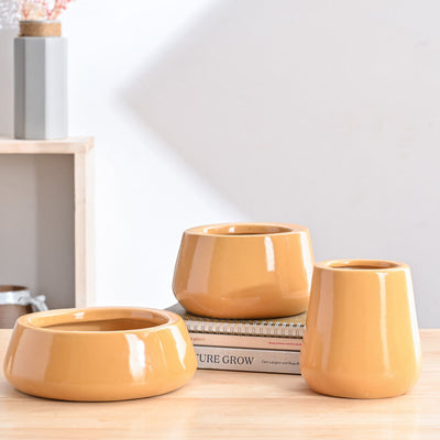 Tulip Fantasy Bundle - Sandal