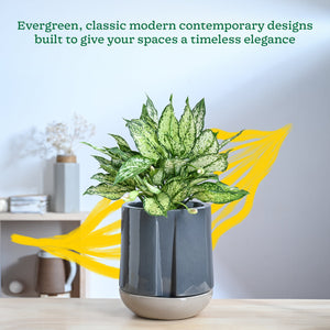 Moonlight Drama Ceramic Planter