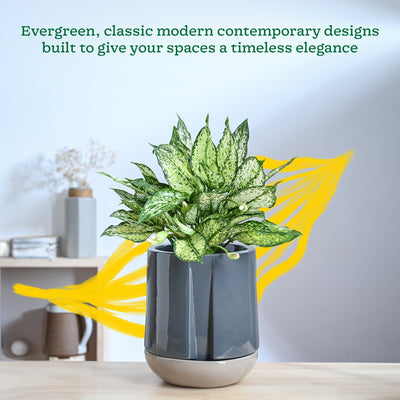 Moonlight Drama Ceramic Planter