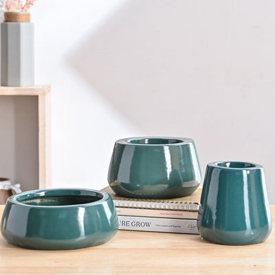 Tulip Fantasy Bundle - Dark Green