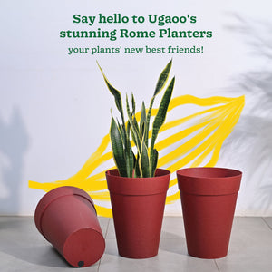 Roma Plastic Planter