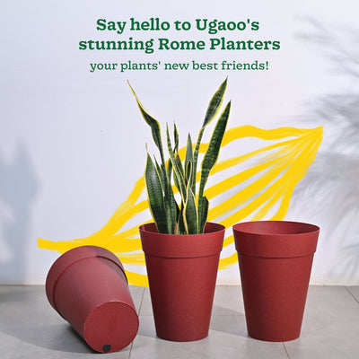 Roma Plastic Planter