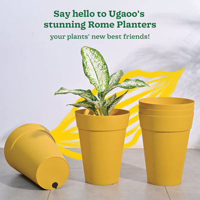 Roma Plastic Planter