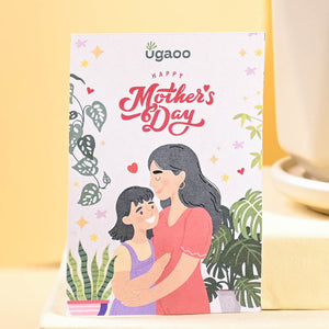 Snake Plant - Golden Hahnii For Mother's Day Gifting