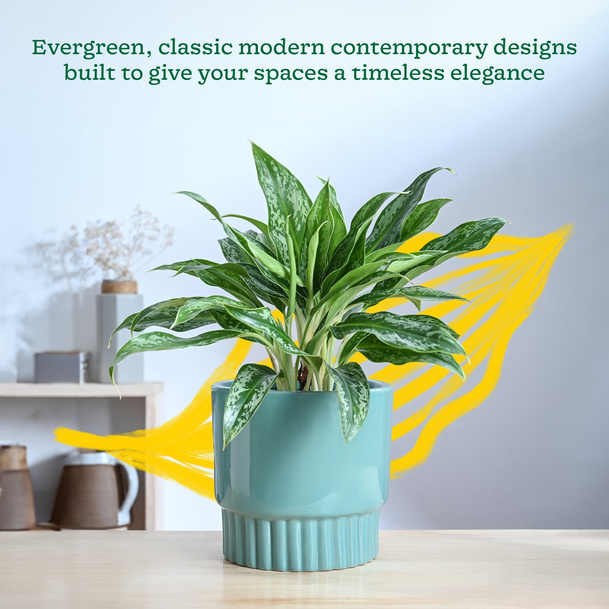 Immortal Nights Ceramic Planter