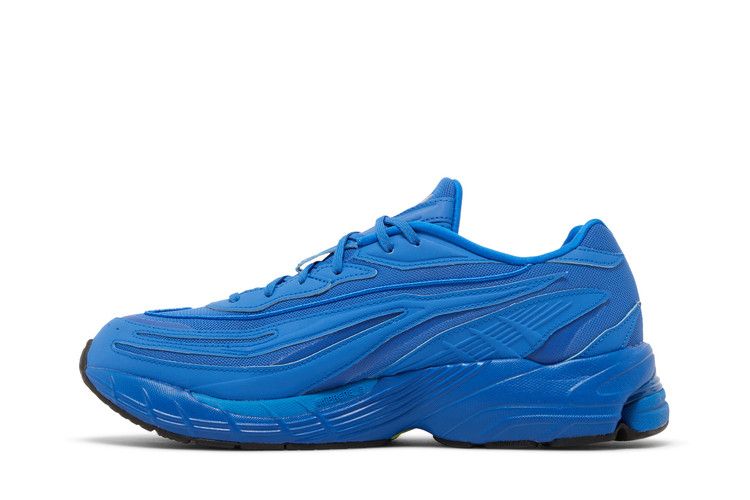 adidas Orketro Bright Royal Blue