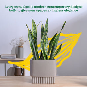 Immortal Nights Ceramic Planter