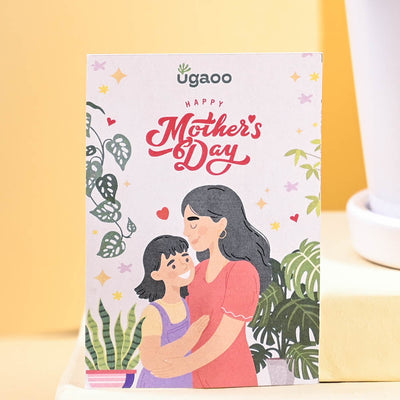 Philodendron Oxycardium Green Plant For Mother's Day Gifting