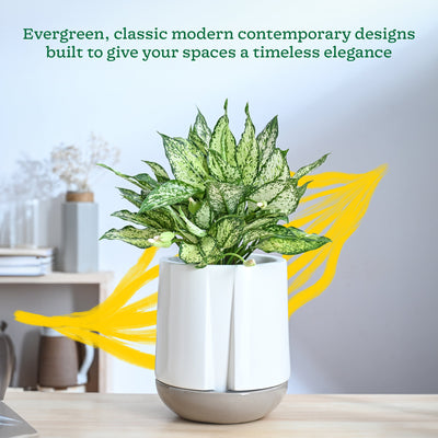 Moonlight Drama Ceramic Planter