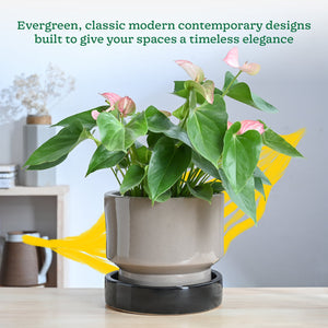 Soothing Rains Ceramic Planters