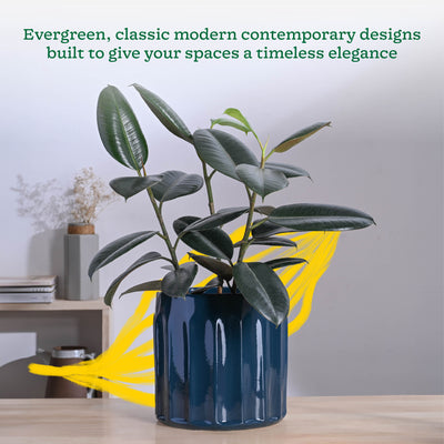 Blushing Sun Ceramic Planter