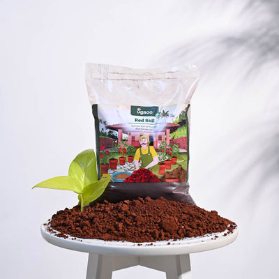 Garden Red Soil