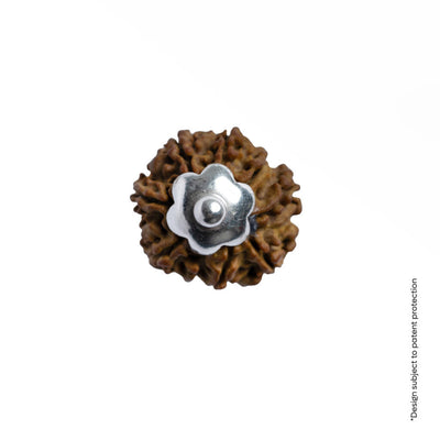 Adiyogi Pendant (9 Mukhi Nepali Rudraksha) With Chain