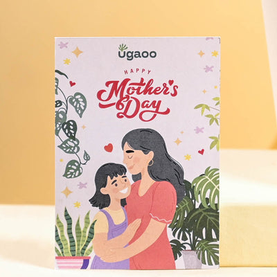 Spider Plant For Mother's Day Gifting