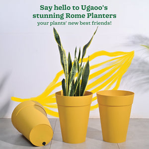 Roma Plastic Planter