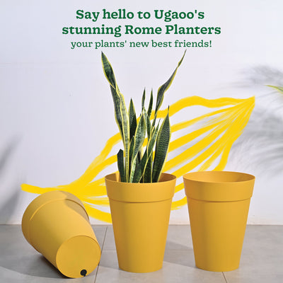 Roma Plastic Planter