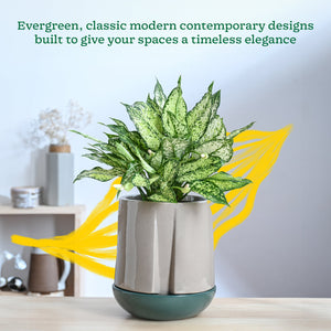 Moonlight Drama Ceramic Planter