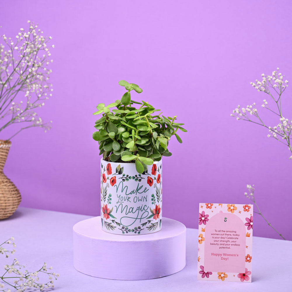 Jade Mini in Ceramic Pot Women's Day Gift