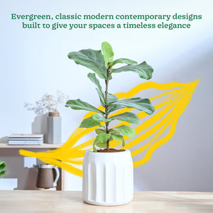 Blushing Sun Ceramic Planter