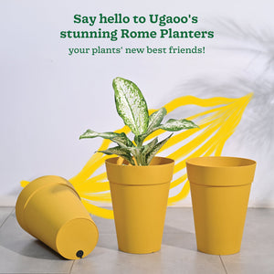 Roma Plastic Planter