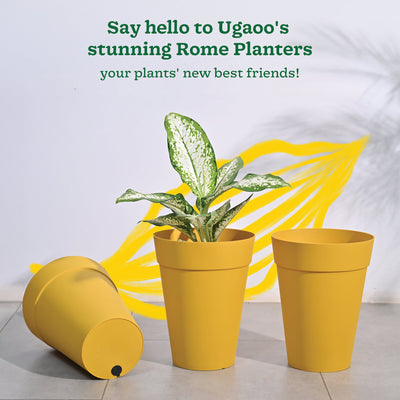 Roma Plastic Planter