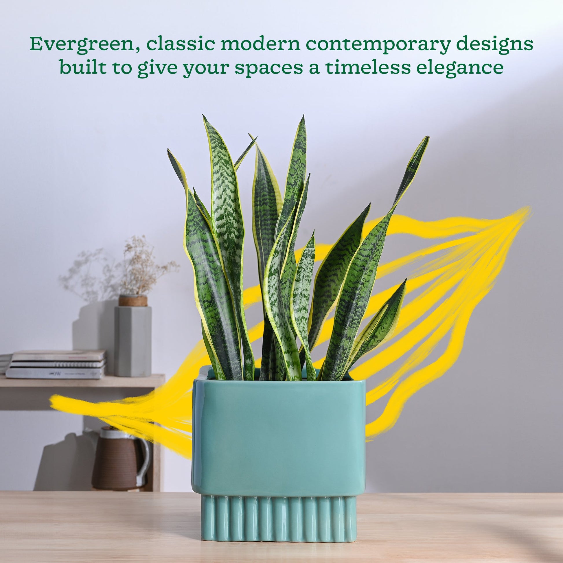 Immortal Nights Ceramic Planter