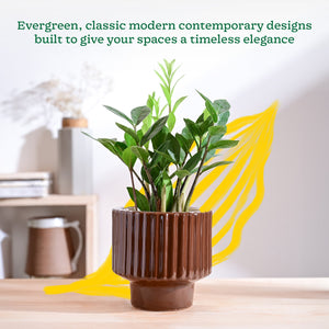 Forms of Love Ceramic Planter