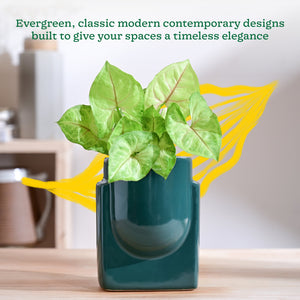 Cats are Gods Ceramic Planter