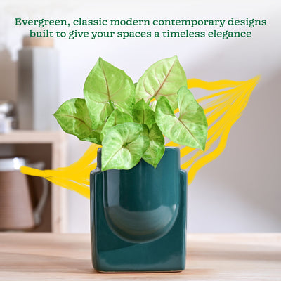 Cats are Gods Ceramic Planter