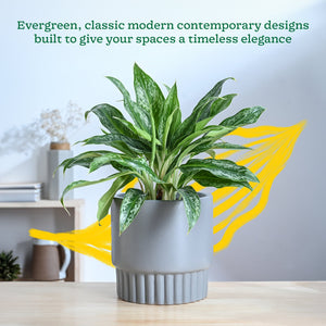 Immortal Nights Ceramic Planter