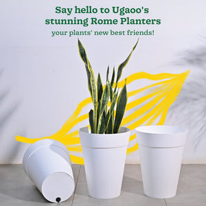 Roma Plastic Planter