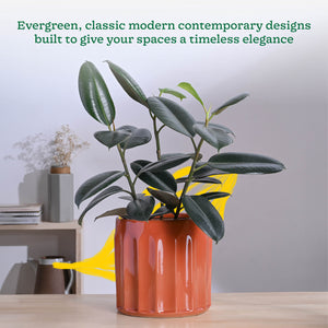 Blushing Sun Ceramic Planter