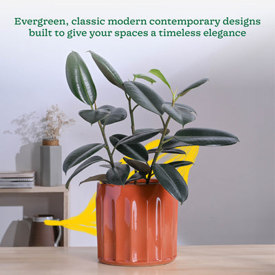 Blushing Sun Ceramic Planter