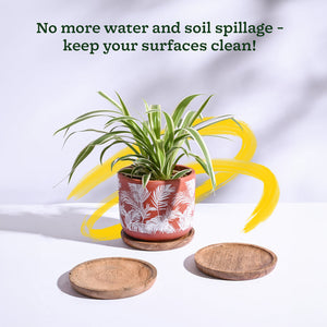 Wooden Plant Tray - Set of 3