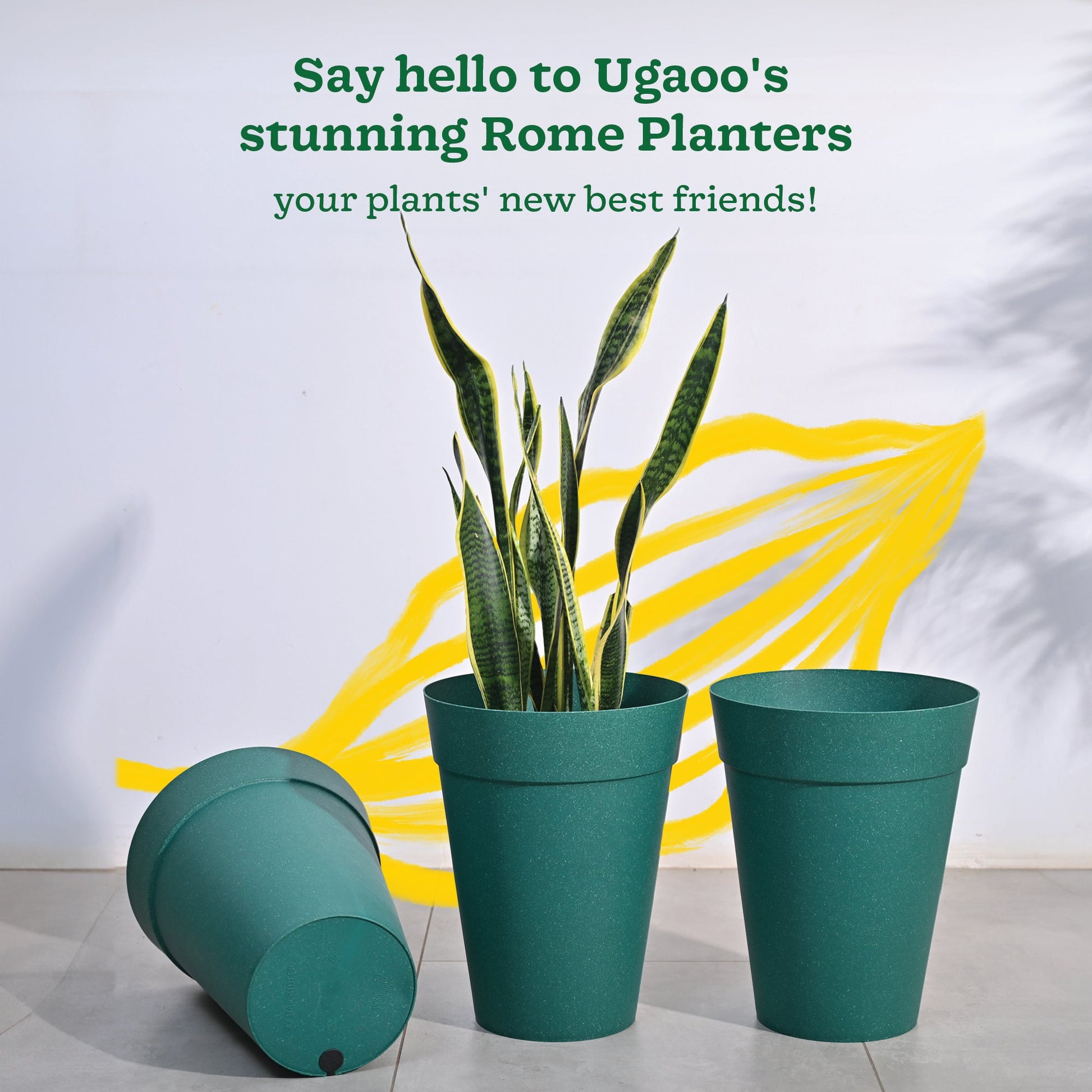 Roma Plastic Planter