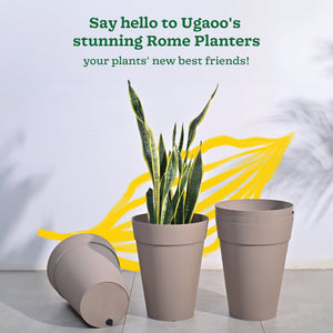 Roma Plastic Planter