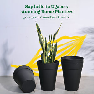 Roma Plastic Planter