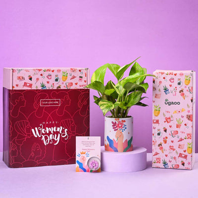 Variegated Money Plant Elegance Women's Day Gift