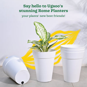 Roma Plastic Planter
